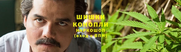 ешки Корсаков