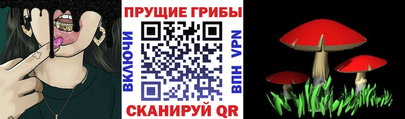 мега как зайти  Лакинск  Псилоцибиновые грибы ЛСД 