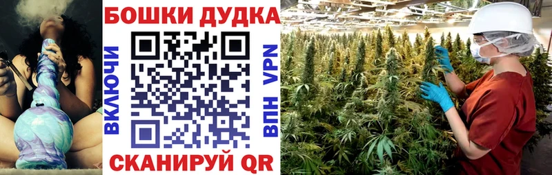 МАРИХУАНА гибрид  Лакинск 